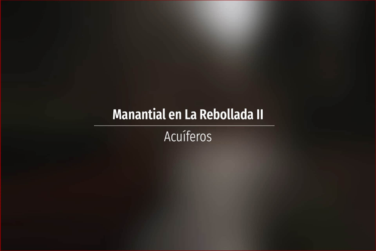 Manantial en La Rebollada II