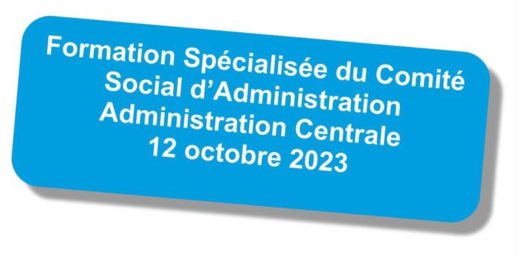 Formation spécialisée du CSA de l'Administration Centrale du 12 octobre 2023