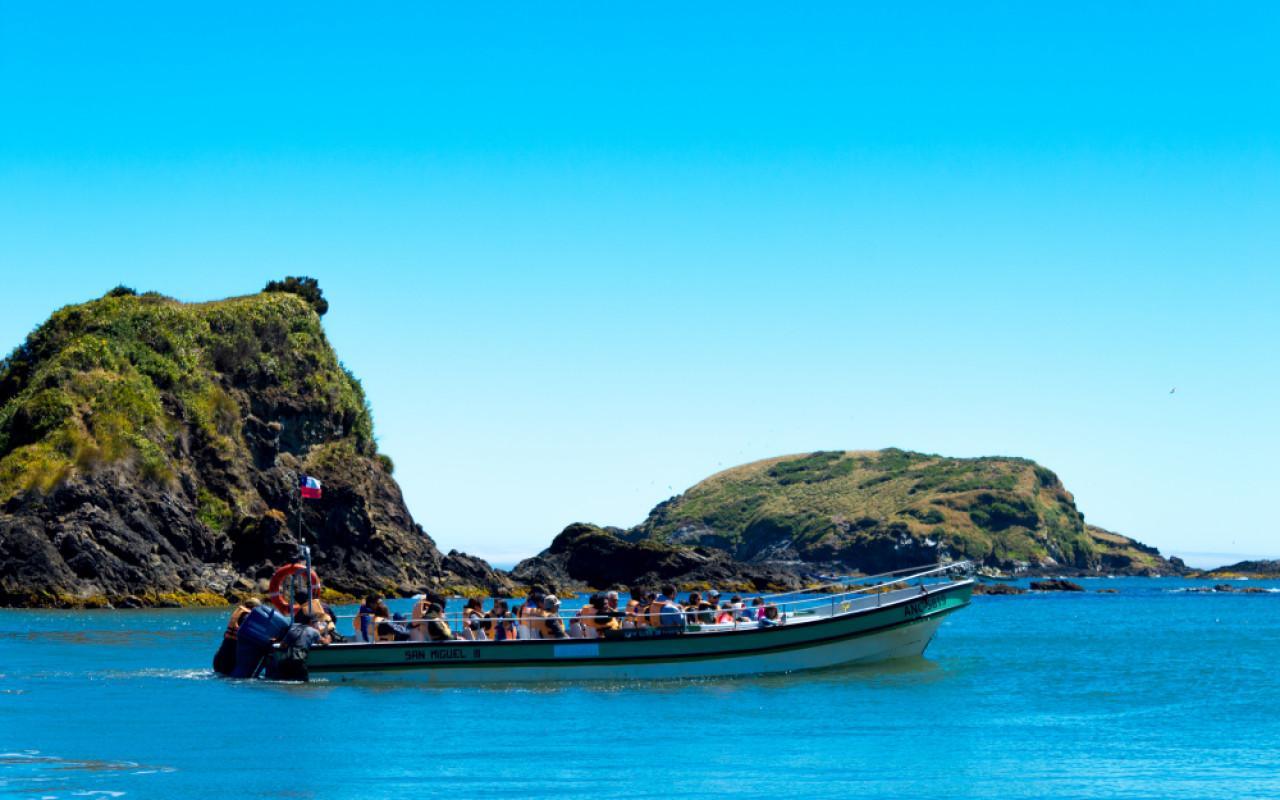 Pingüineras de Puñihuil – Avistamiento de pingüinos en Ancud, Chiloé en Ancud, Chiloé, Sur de Chile