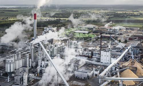 Södra develops a new paper pulp – combining forest raw materials with oat hulls