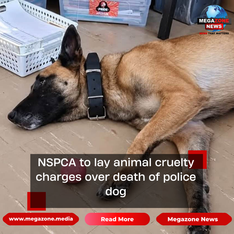 NSPCA to lay animal cruelty charges over death of police dog