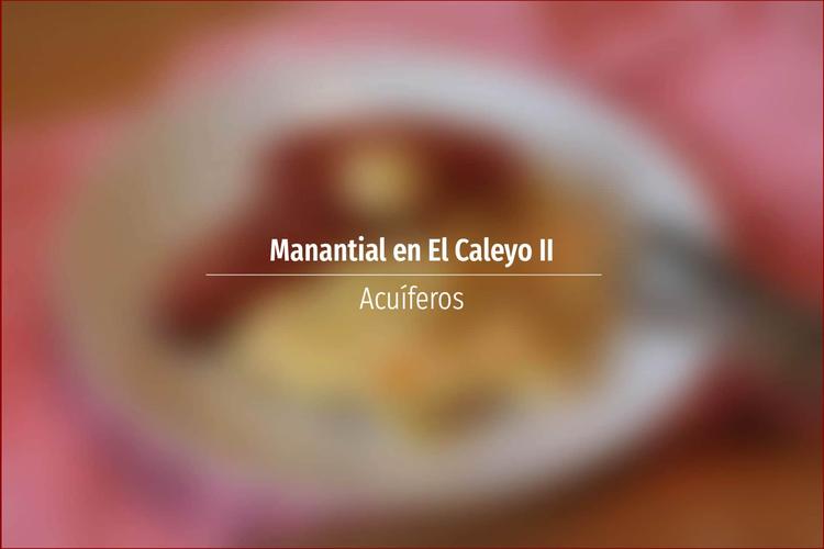 Manantial en El Caleyo II