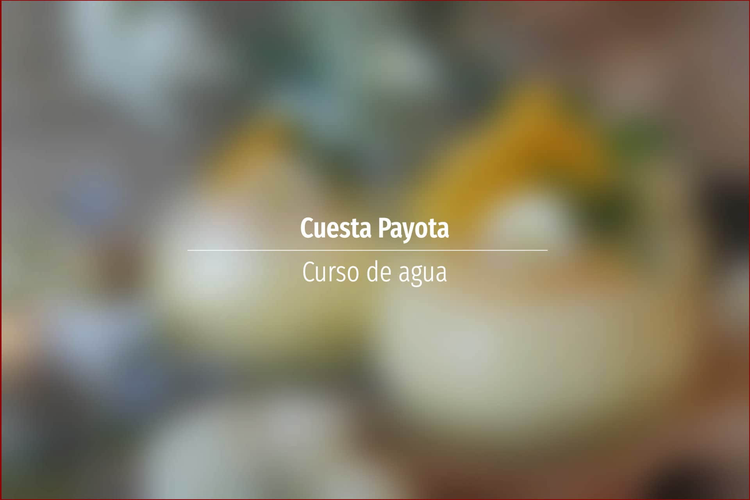 Cuesta Payota