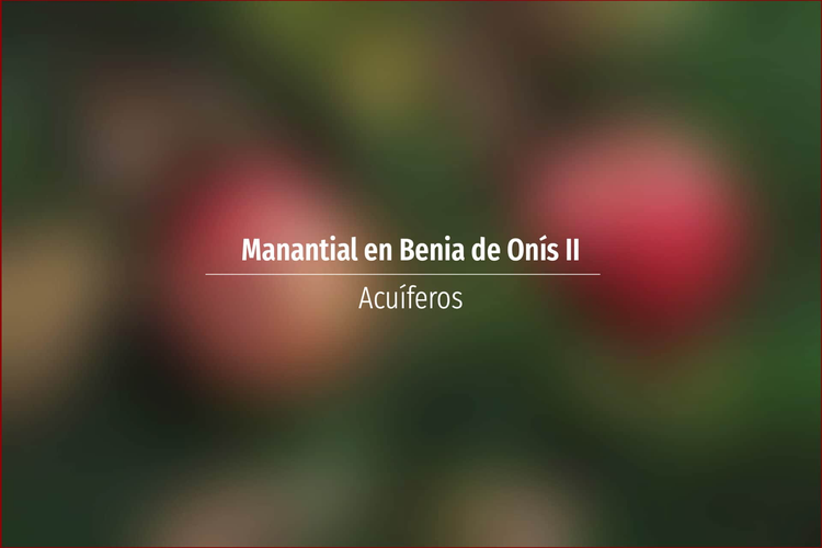 Manantial en Benia de Onís II