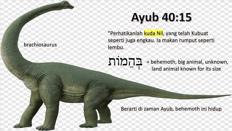 Dinosaurus di Ayub 40:15