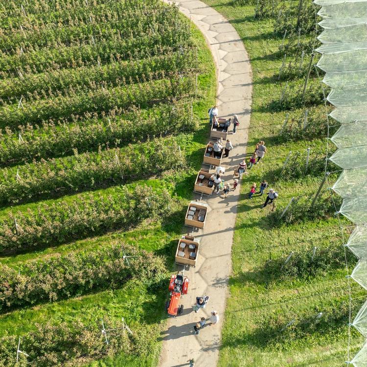 Fietsroute: Streekroute langs de Linge (67 KM)