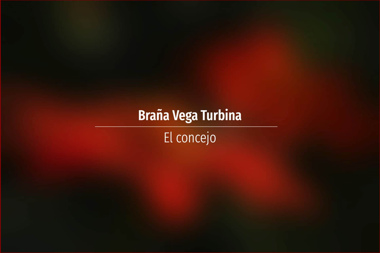 Braña Vega Turbina