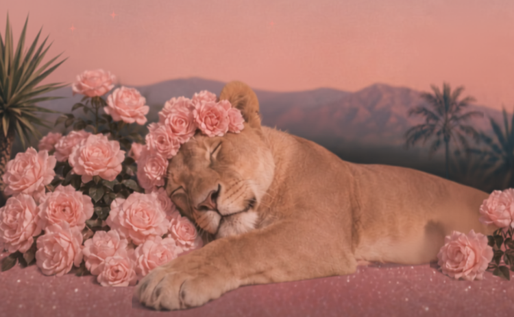 LoA visualisation for the Leo new moon solar eclipse, 12th August, 2026