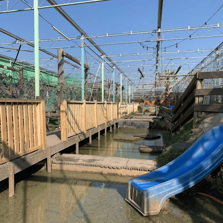 Goedkoop en het werkt altijd!