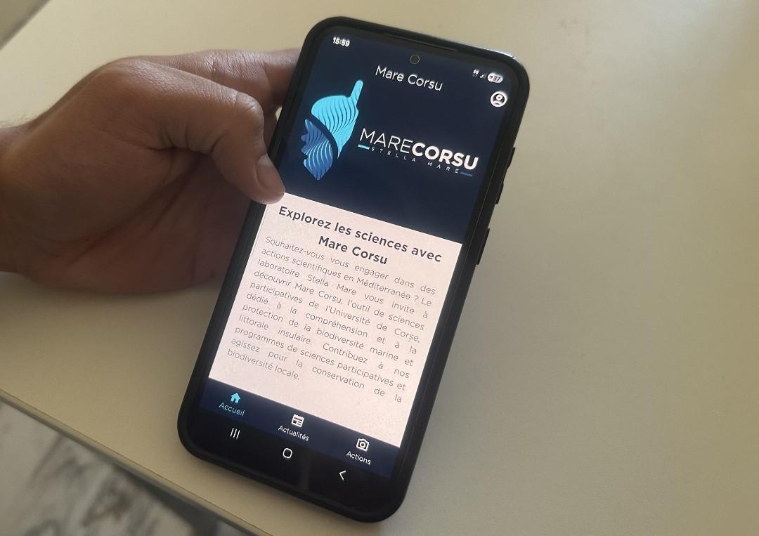 Stella Mare lance une application pour faire des citoyens des acteurs de la science