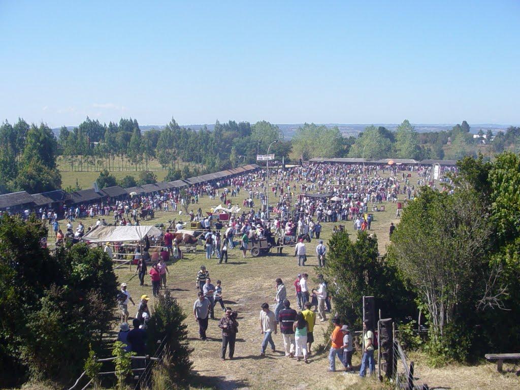 Parque Municipal en Castro, Chiloé, Sur de Chile