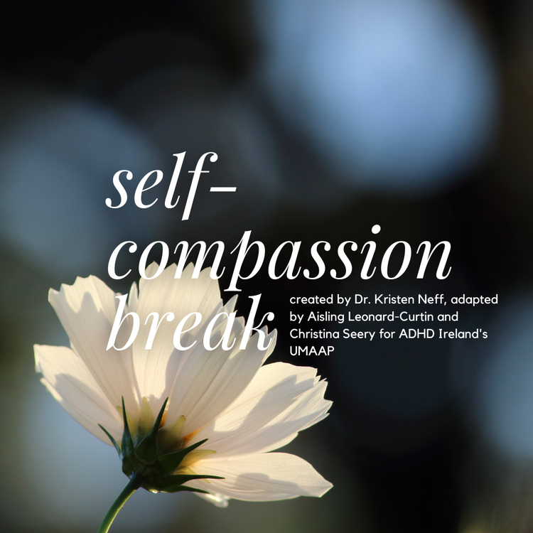 Self-Compassion Break