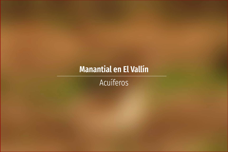 Manantial en El Vallín