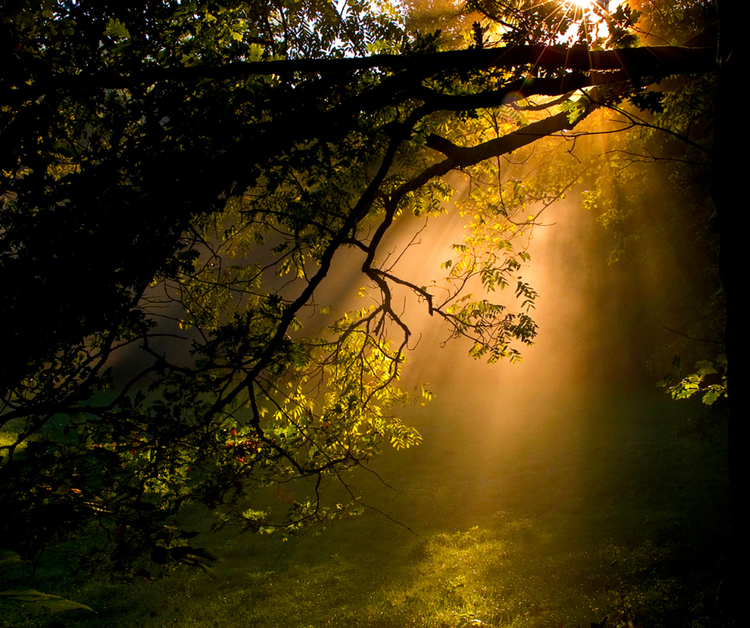 Dissolution of negative Energies - Auflösung negativer Energien