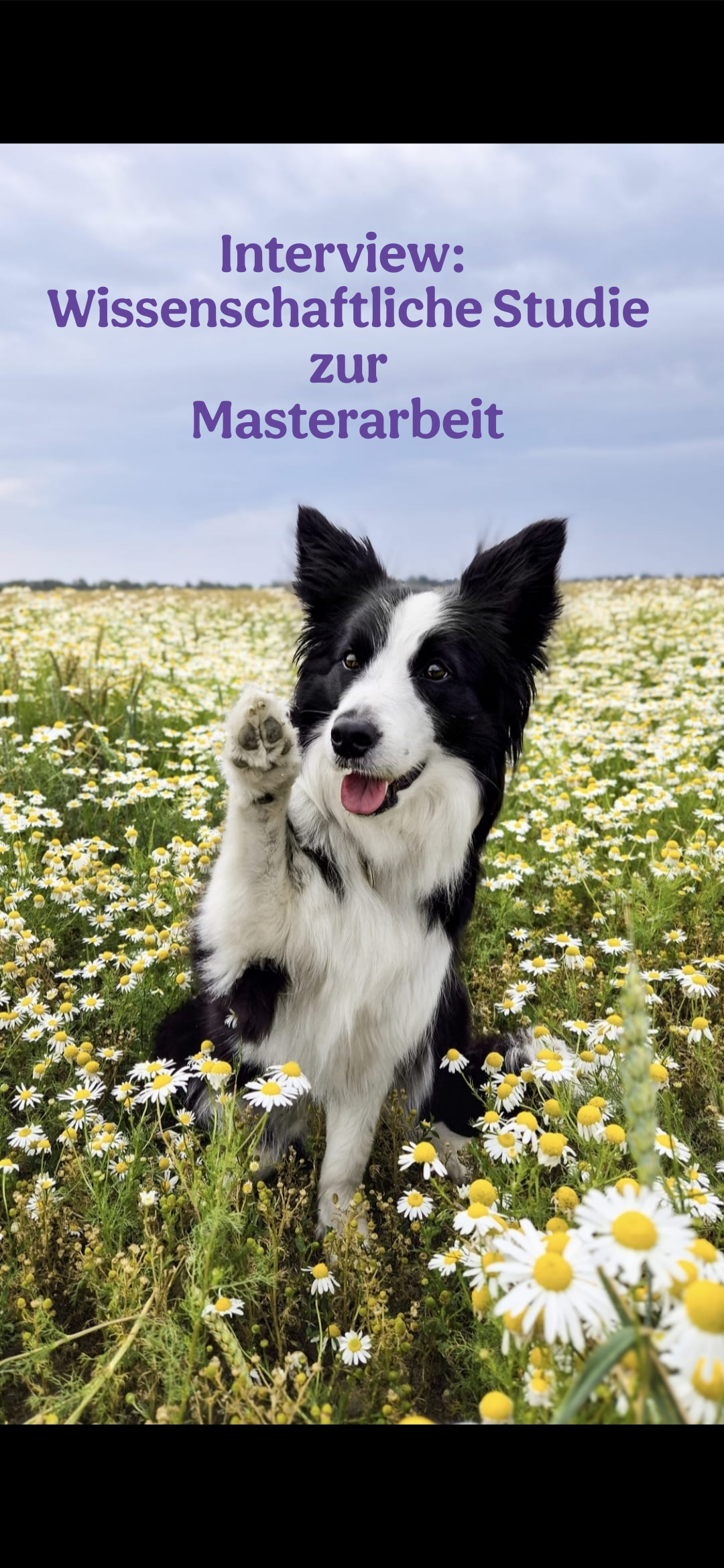 Interview zur Masterarbeit 