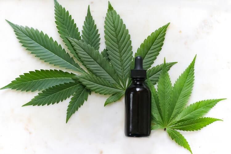 CBD For Pain Relief?