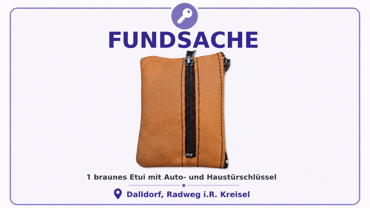 Fundsache Dalldorf: Braunes Etui