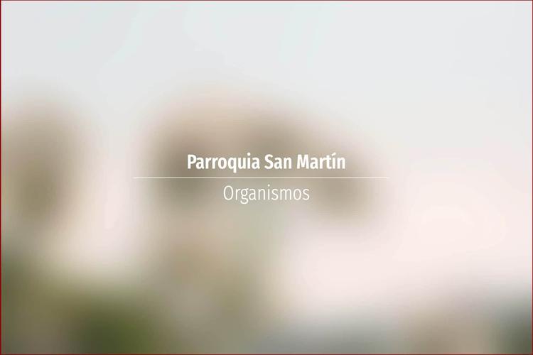 Parroquia San Martín