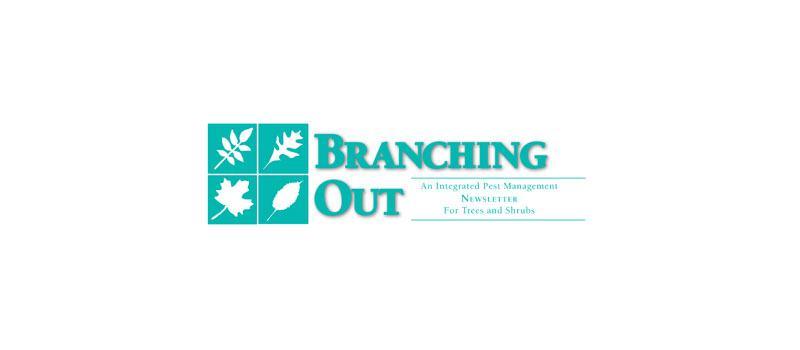 Branching Out Newsletter - 2026