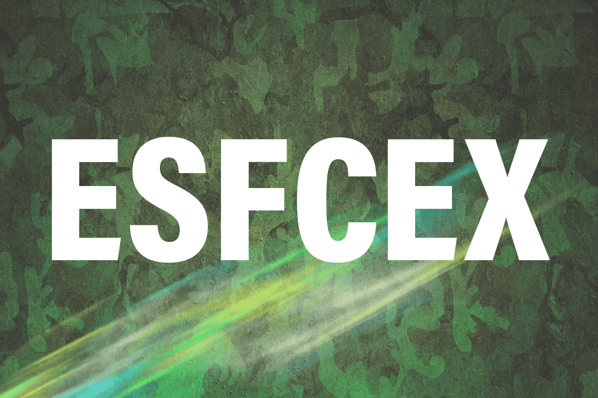 Escola de Saúde e Formação Complementar do Exército