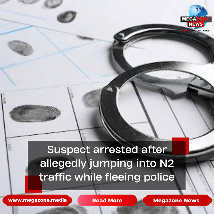 Suspect arrested after allegedly jumping into N2 traffic while fleeing police