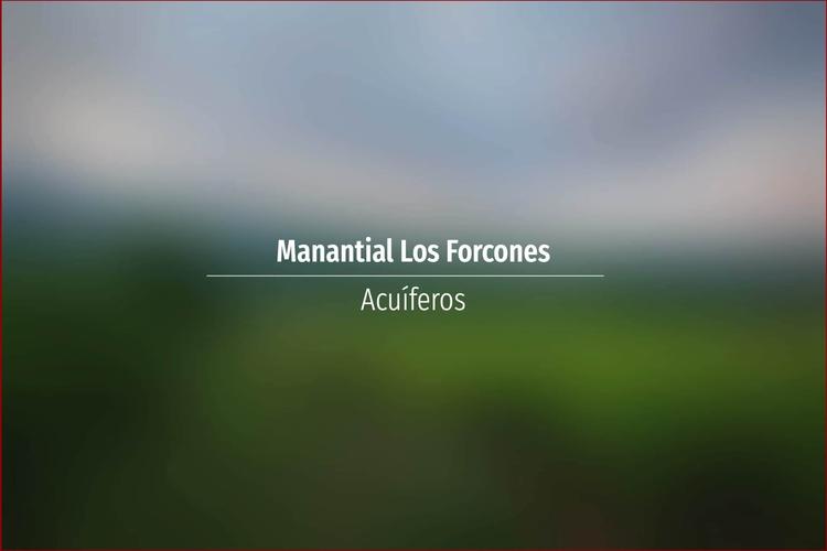 Manantial Los Forcones