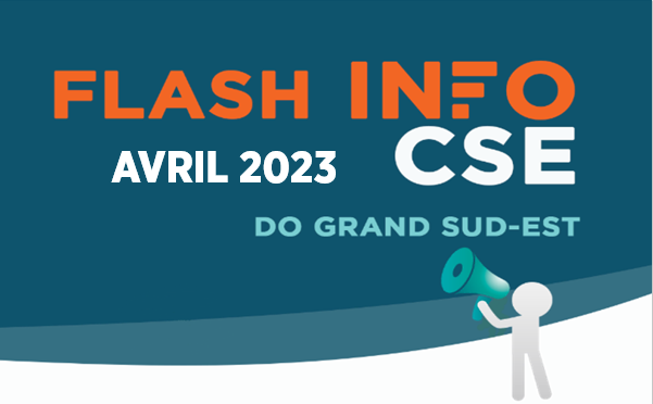 Flash Info CSE DOGSE - Avril 2023