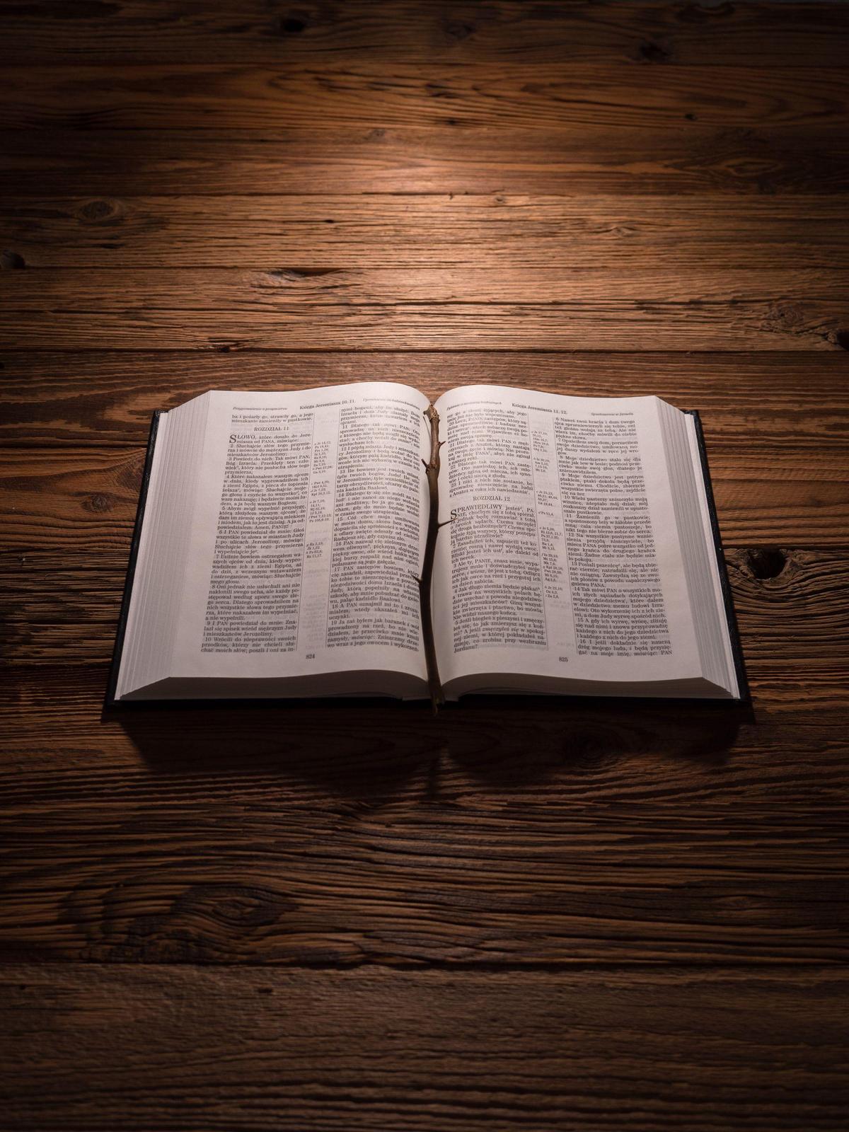 La palabra de Dios esta por encima de tu realidad 