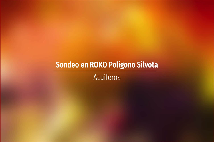 Sondeo en ROKO Polígono Silvota