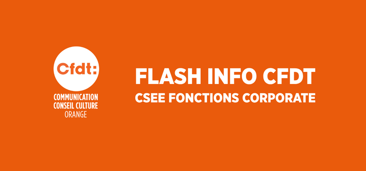 FLASH INFO CSE FONCTIONS CORPORATE