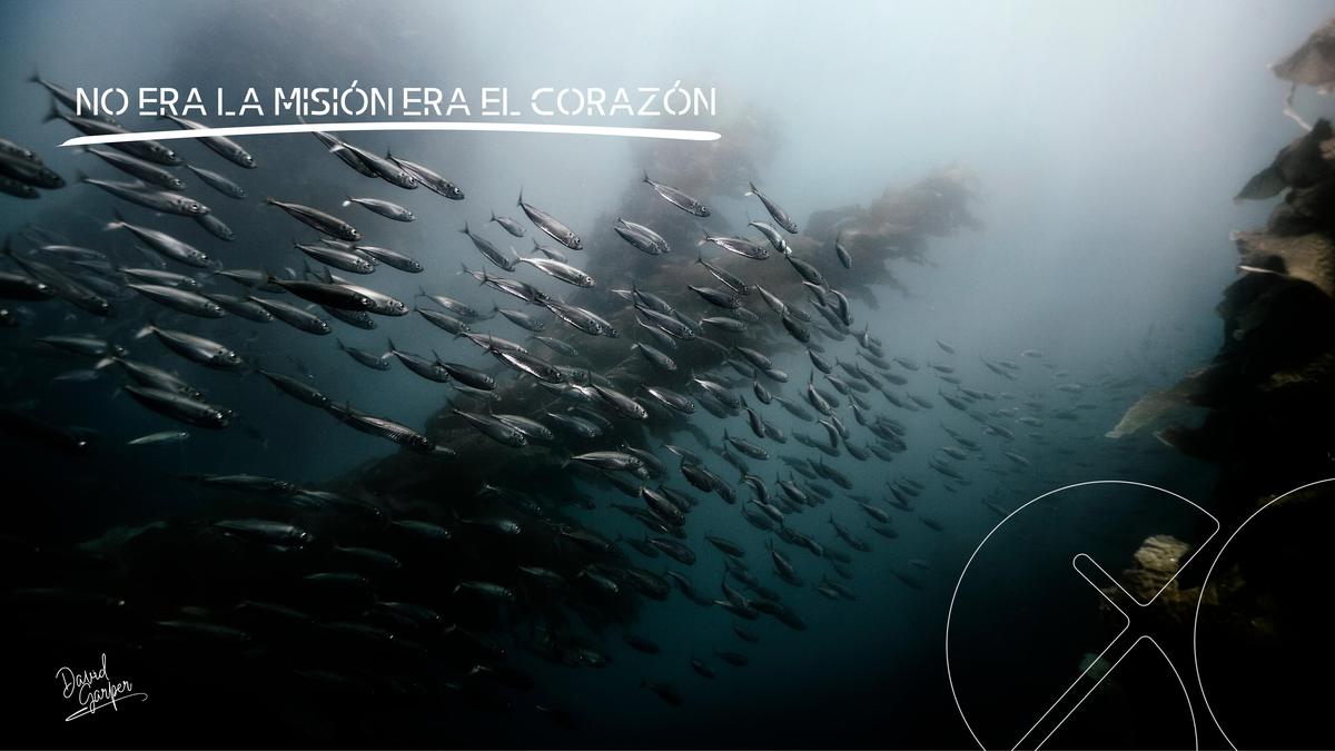 El problema no era la misión era el corazón