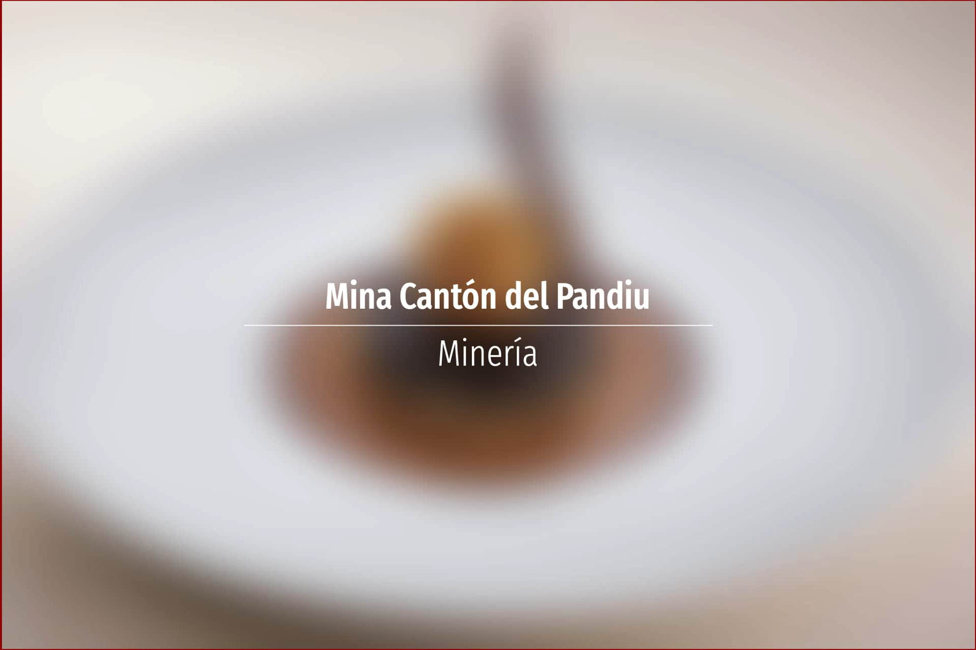 Mina Cantón del Pandiu