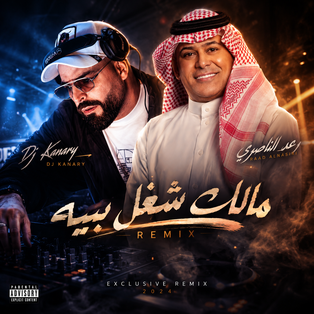 Dj Kanary - مالك شغل بيه _ رعد الناصري  