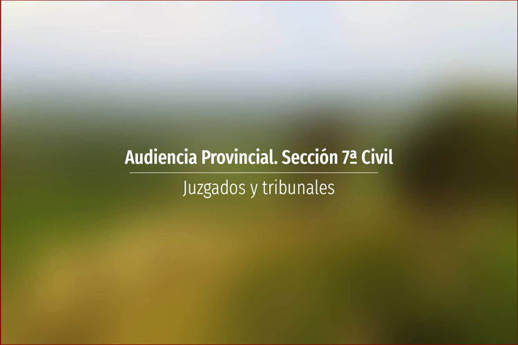 Audiencia Provincial. Sección 7ª Civil