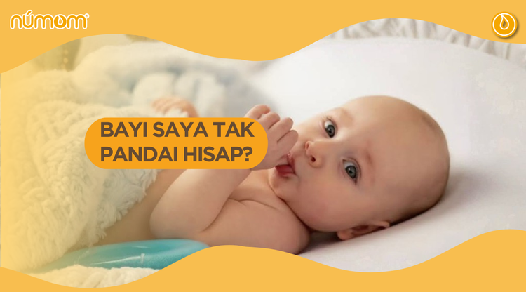 BAYI SAYA TAK PANDAI HISAP?