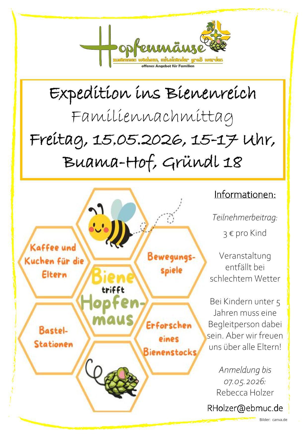 Expedition ins Bienenreich