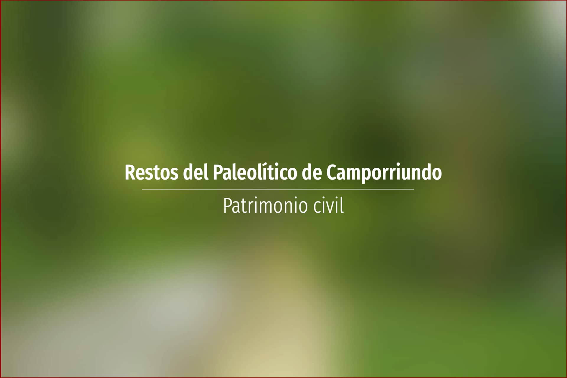 Restos del Paleolítico de Camporriundo