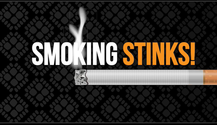 Smoking Stinks