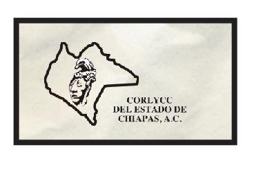 Colegio de Otorrinolaringología y  CCC del Estado de Chiapas, AC