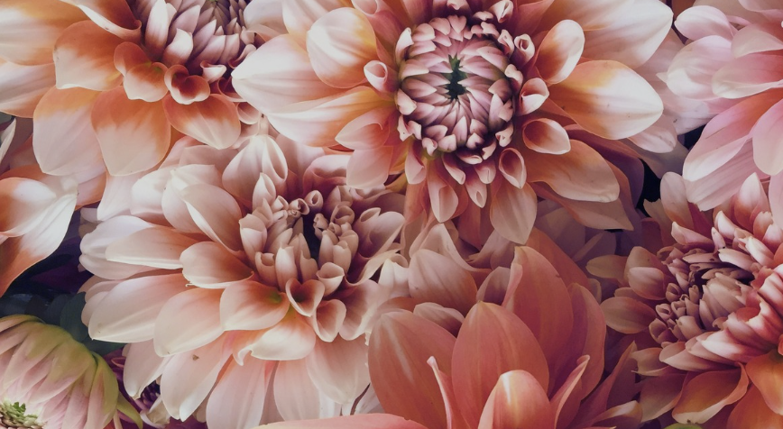 The astrological energies of July 2026