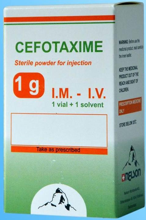 Cefotaxime Injectable 