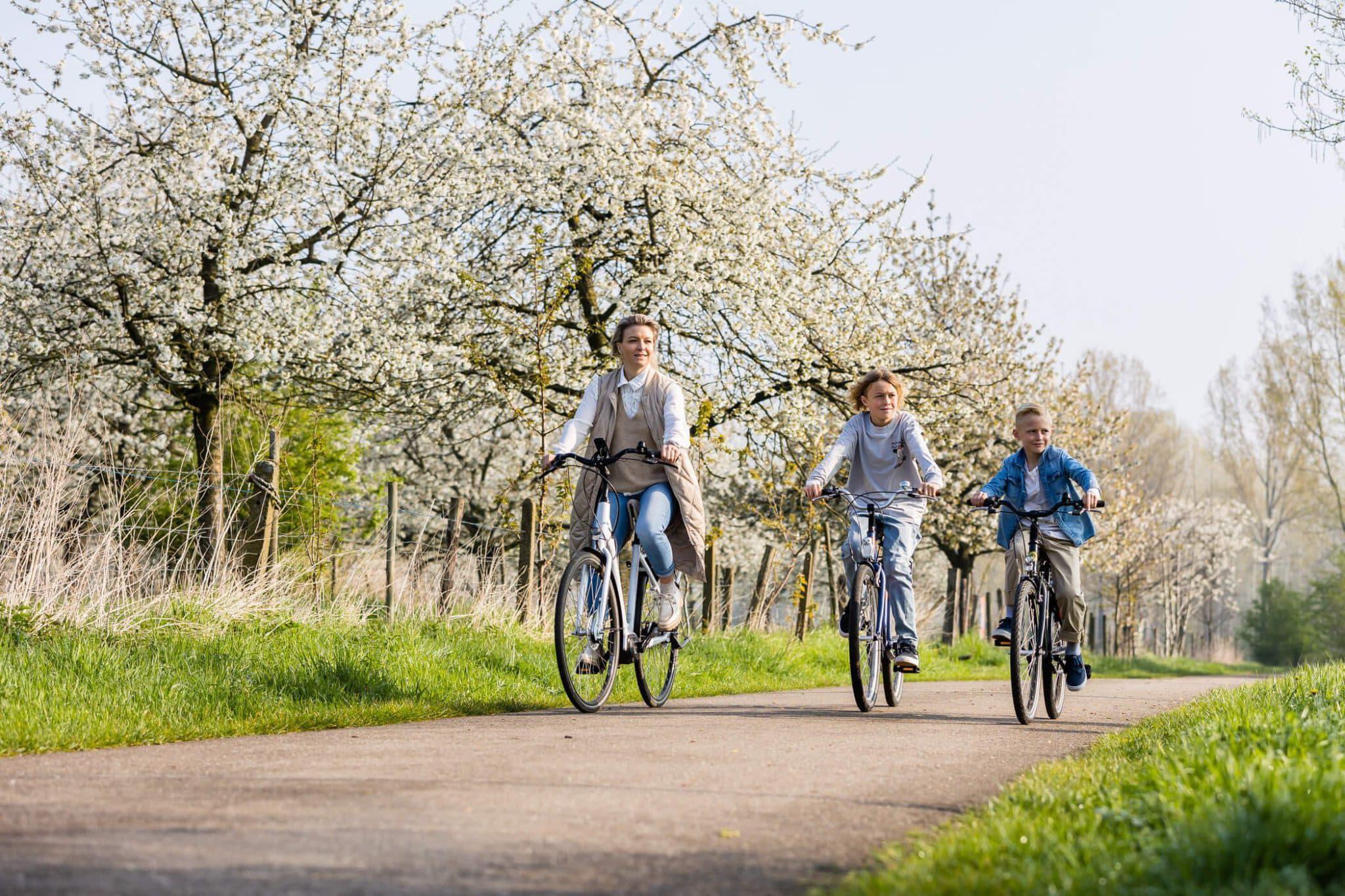 Leuke bloesemuitjes voor je uitgelicht🌸🚲