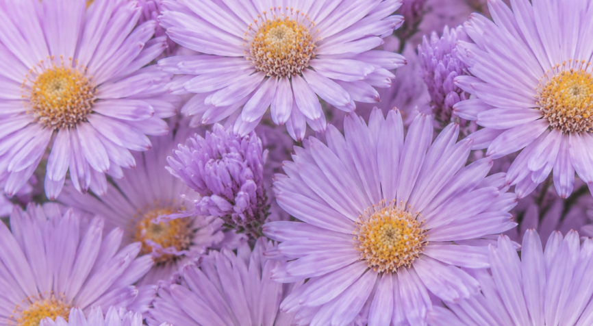The astrological energies of September 2026