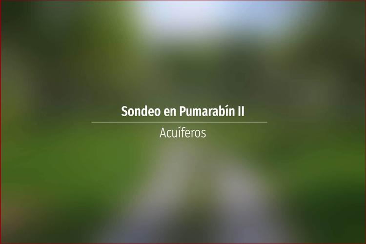Sondeo en Pumarabín II