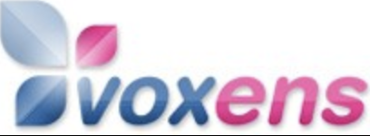 Résultat enquête Voxens Groupe