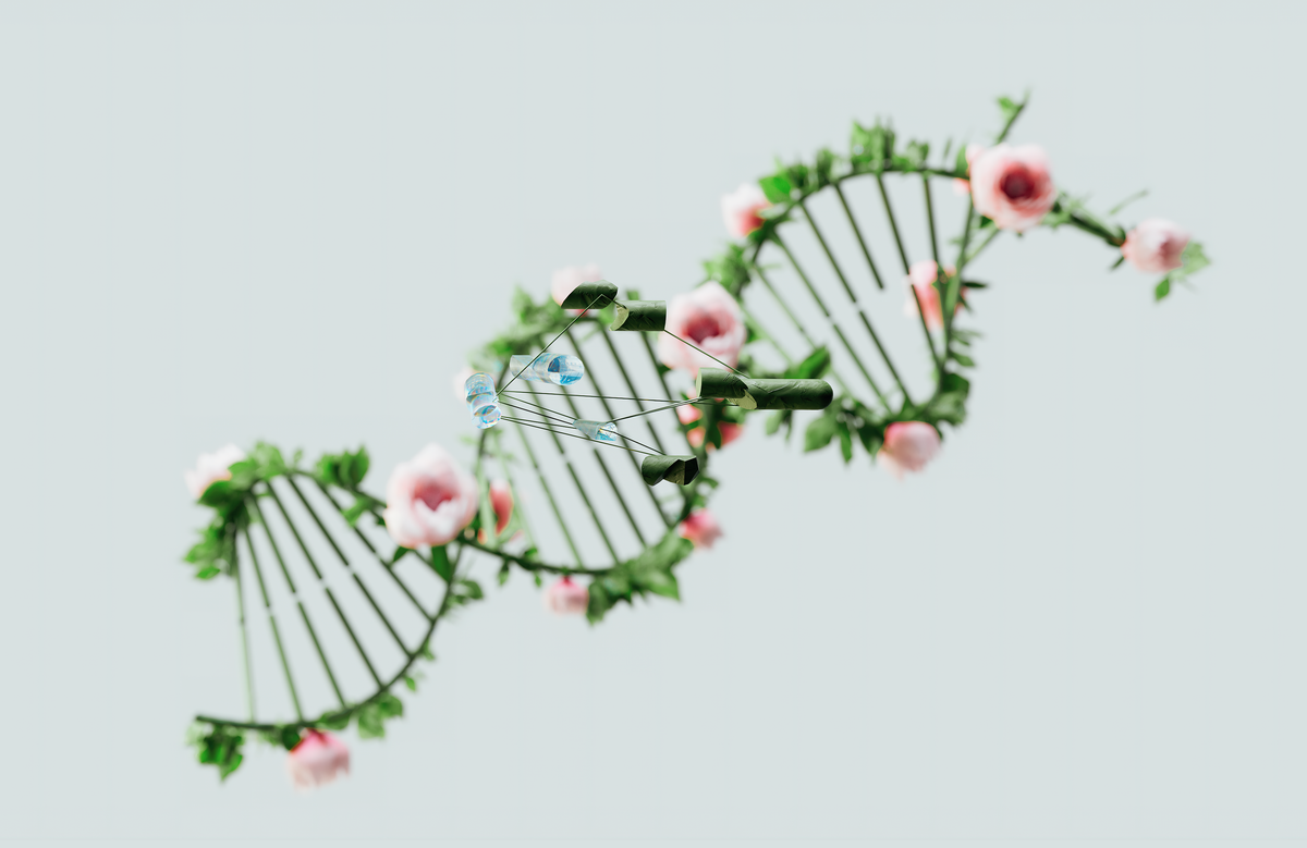 Un nuovo studio genetico per cure sempre più personalizzate nell'Iperossaluria Primitiva