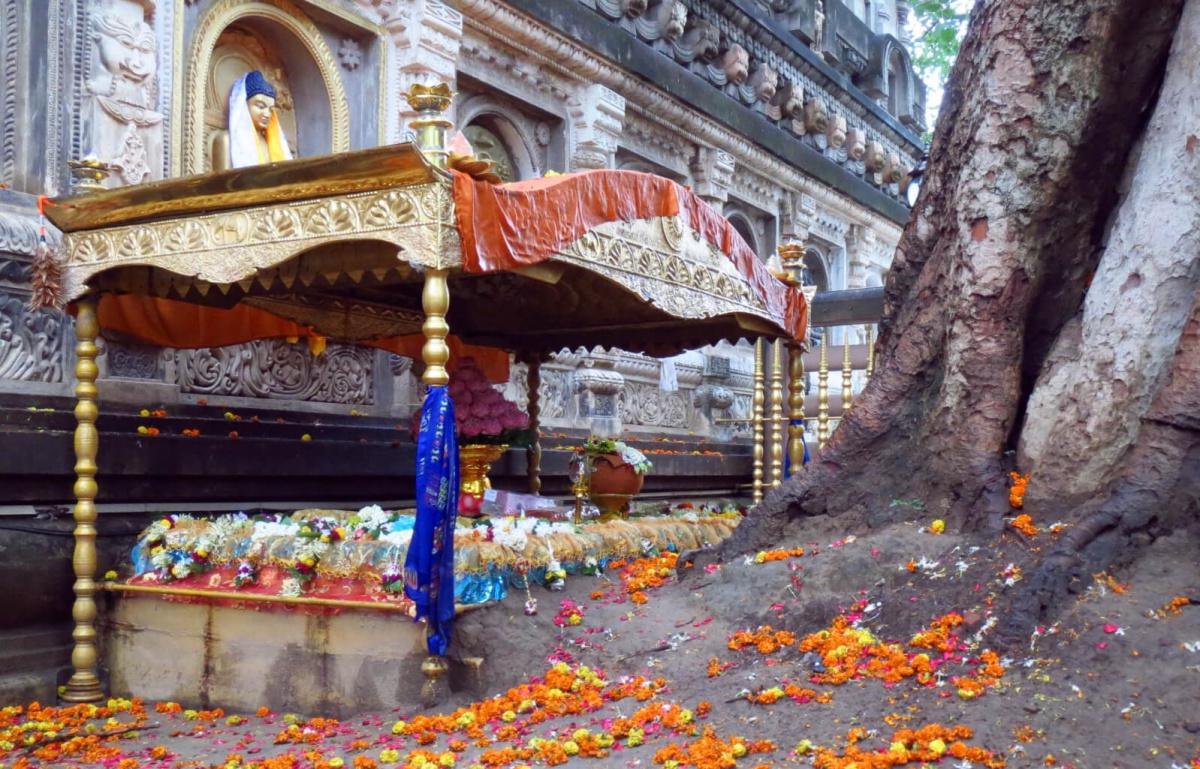 1-01 เหตุให้สำเร็จเป็นพระสัพพัญญูพุทธเจ้า 1-01 เหตุให้สำเร็จเป็นพระสัพพัญญูพุทธเจ้า