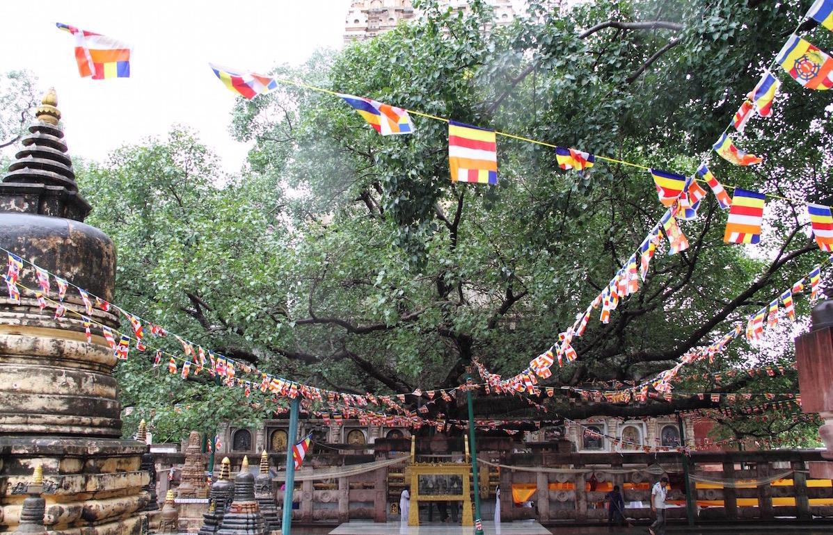 1-01 เหตุให้สำเร็จเป็นพระสัพพัญญูพุทธเจ้า 1-01 เหตุให้สำเร็จเป็นพระสัพพัญญูพุทธเจ้า