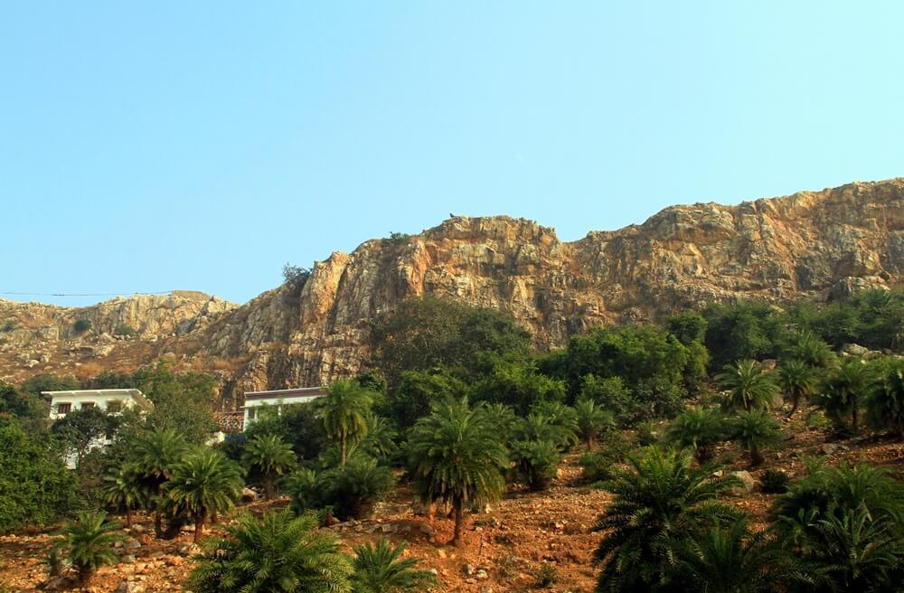 1-05 พระโพธิสัตว์ทรงบำเพ็ญทุกรกิริยา 1-05 พระโพธิสัตว์ทรงบำเพ็ญทุกรกิริยา