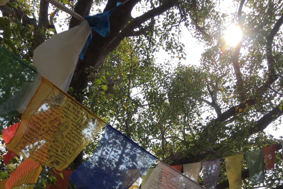 1-06 นางสุชาดาถวายข้าวมธุปายาส 1-06 นางสุชาดาถวายข้าวมธุปายาส